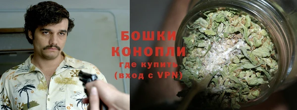 мдпв Верея