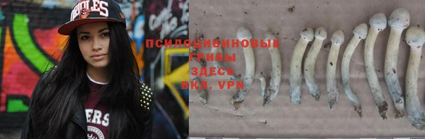 мдпв Верея