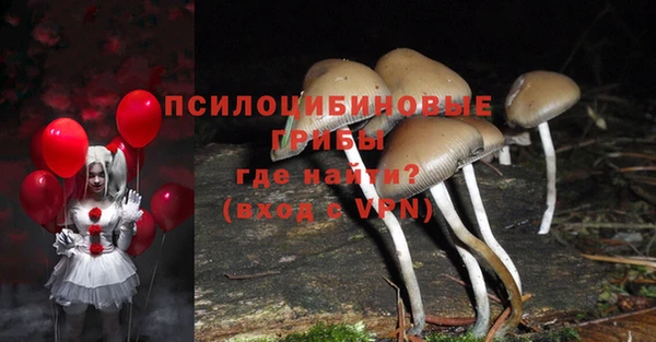 мдпв Верея