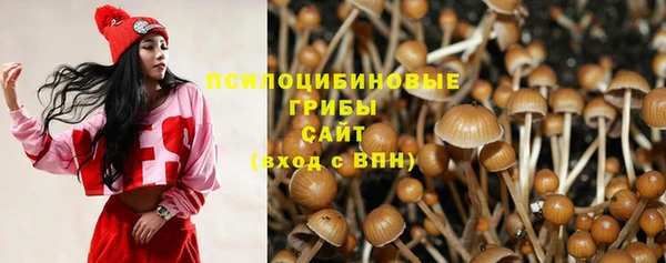 мдпв Верея